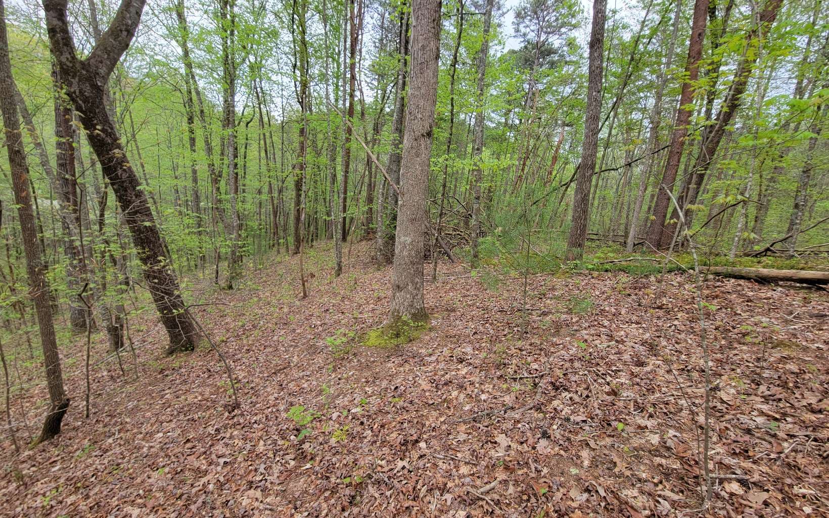 LOT27 Oak Ridge Way, Ellijay GA 30536 - Photo