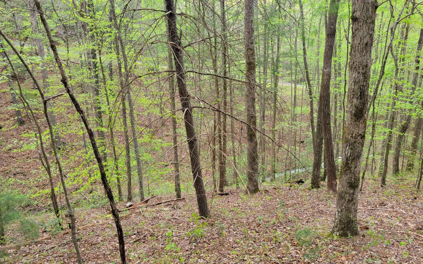 LOT27 Oak Ridge Way, Ellijay GA 30536 - Photo
