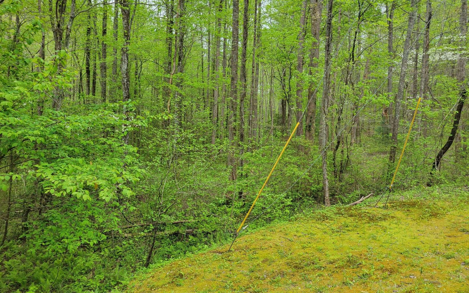 LOT27 Oak Ridge Way, Ellijay GA 30536 - Photo