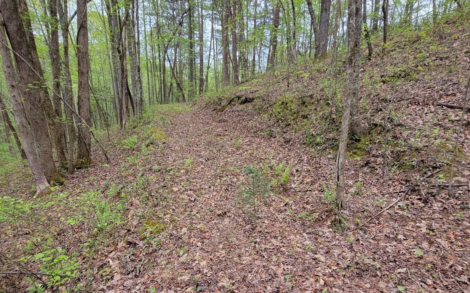 LOT27 Oak Ridge Way, Ellijay GA 30536 - Photo