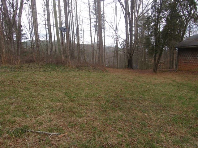 78 Holly Place Road, Marble NC 28905 - Photo