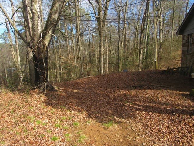 78 Holly Place Road, Marble NC 28905 - Photo
