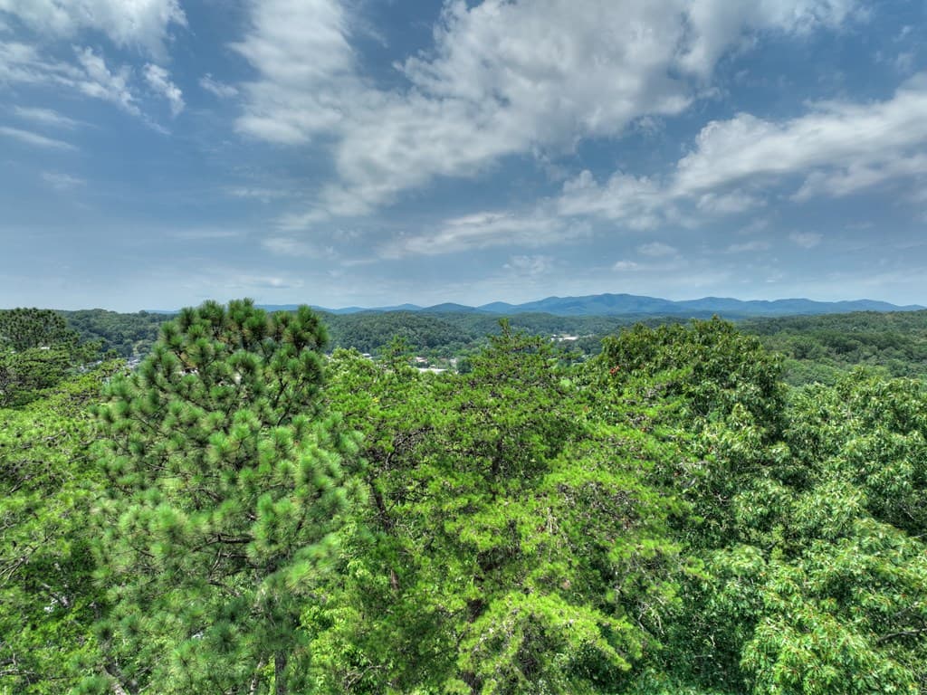 Lot 4 Mountain Trace, Ellijay GA 30540 - Photo