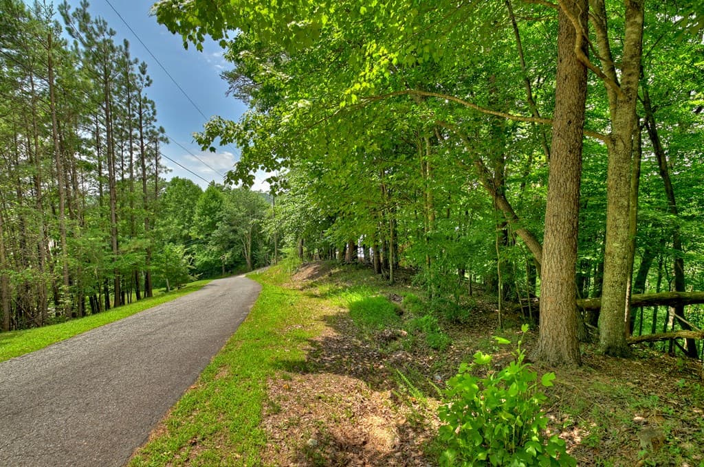 Lot 4 Mountain Trace, Ellijay GA 30540 - Photo
