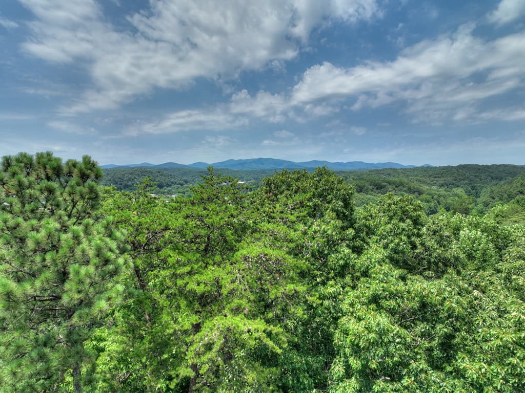 Lot 4 Mountain Trace, Ellijay GA 30540 - Photo