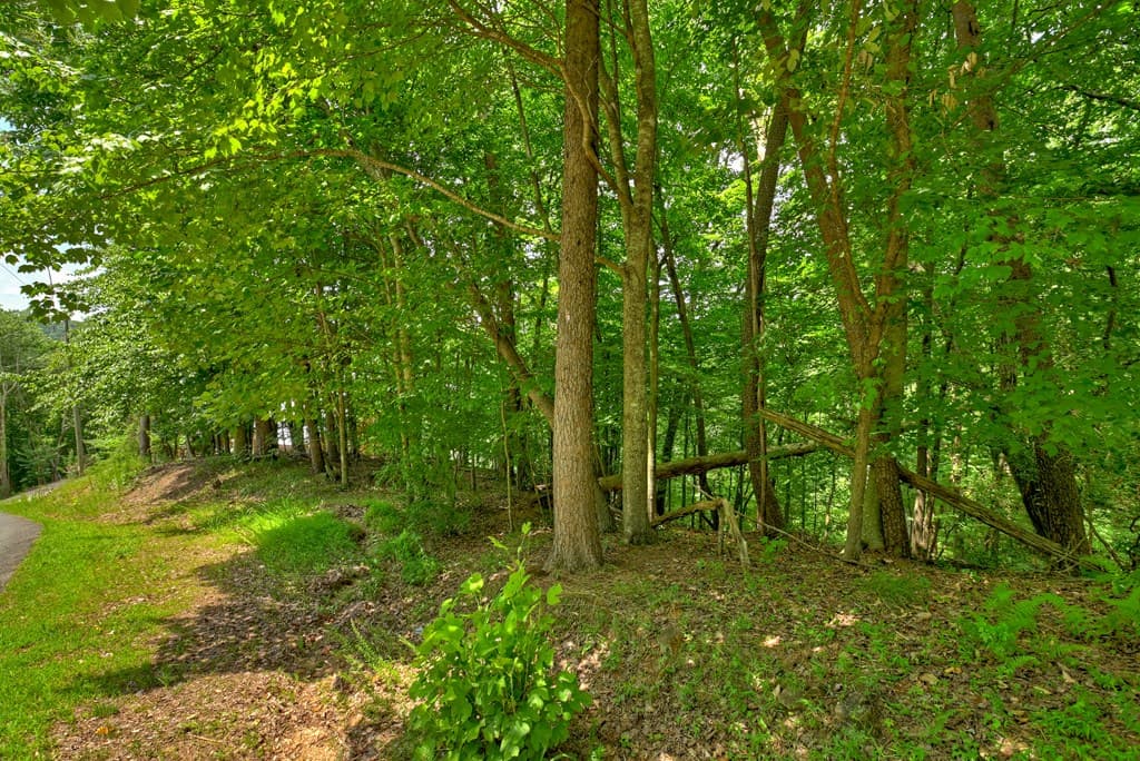 Lot 4 Mountain Trace, Ellijay GA 30540 - Photo