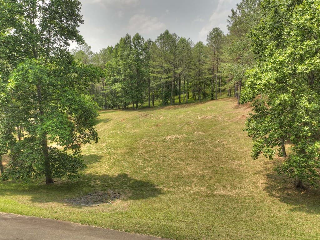 Lot 31 Eastside Drive, Ellijay GA 30536 - Photo