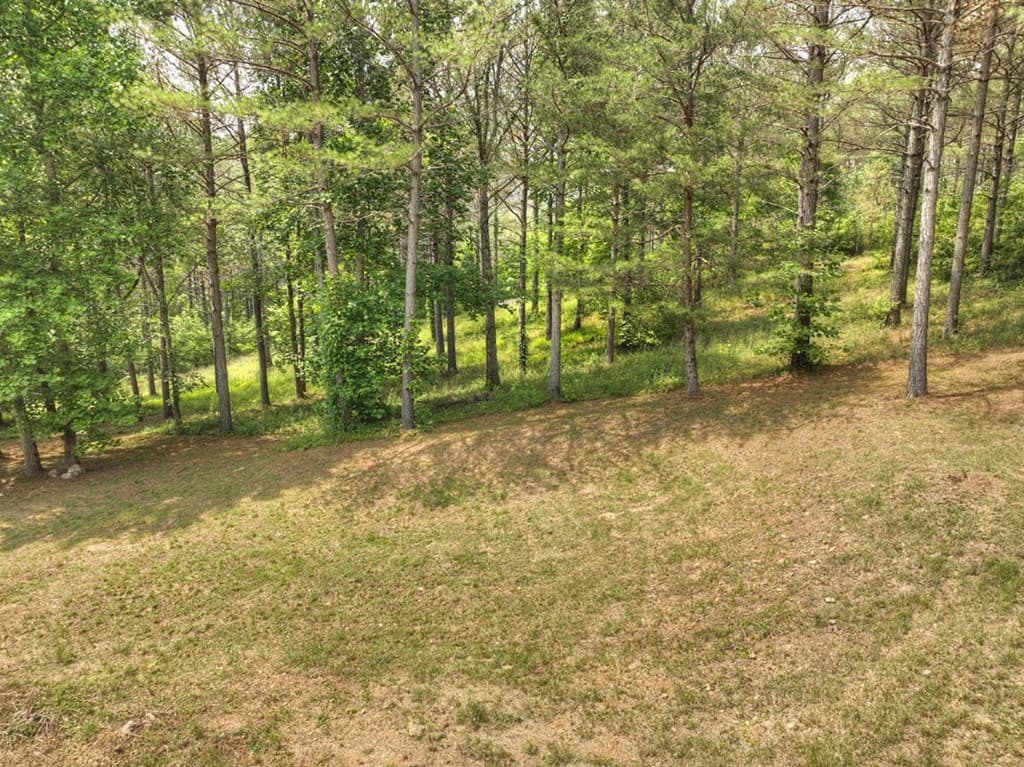Lot 31 Eastside Drive, Ellijay GA 30536 - Photo