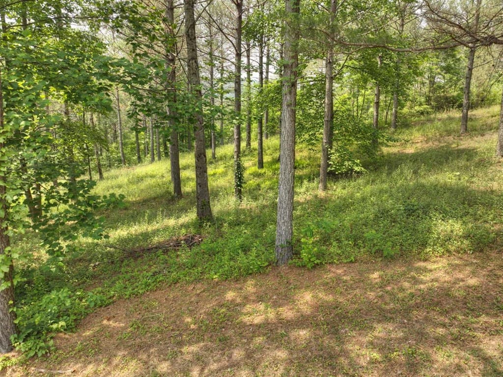 Lot 31 Eastside Drive, Ellijay GA 30536 - Photo