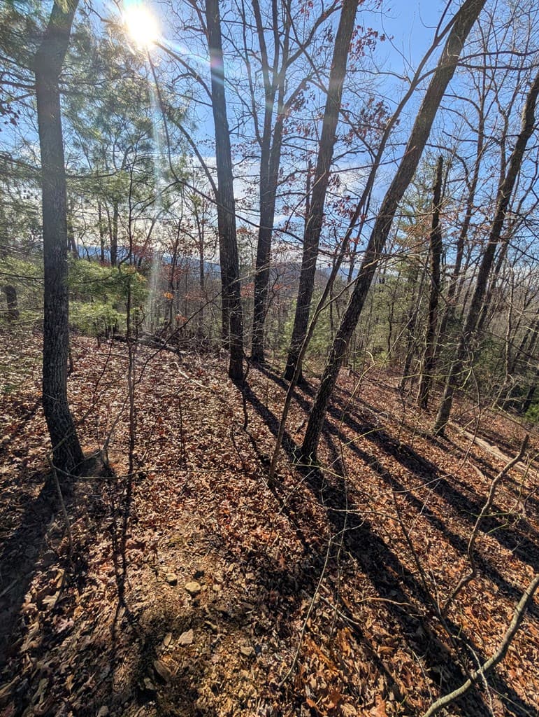LOT 31 Tower Falls Lane, Hayesville NC 28904 - Photo