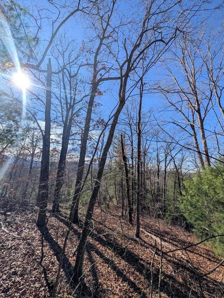 LOT 31 Tower Falls Lane, Hayesville NC 28904 - Photo