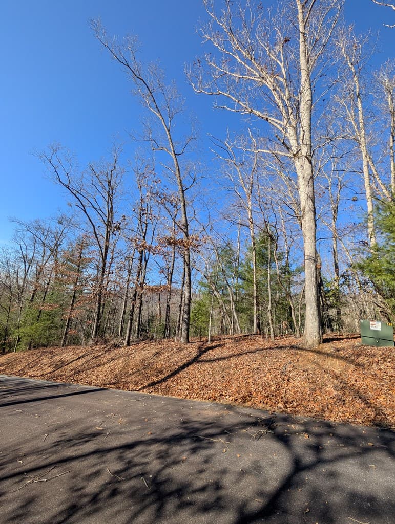 LOT 31 Tower Falls Lane, Hayesville NC 28904 - Photo