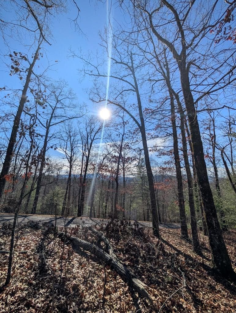 LOT 31 Tower Falls Lane, Hayesville NC 28904 - Primary photo