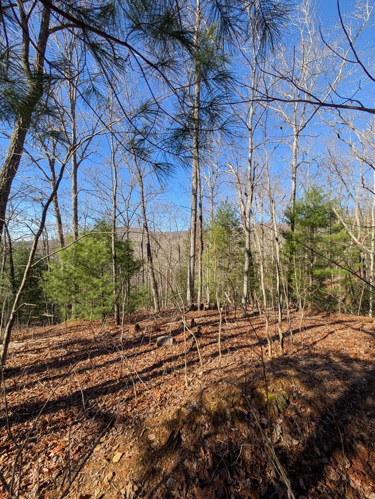 LOT 31 Tower Falls Lane, Hayesville NC 28904 - Photo
