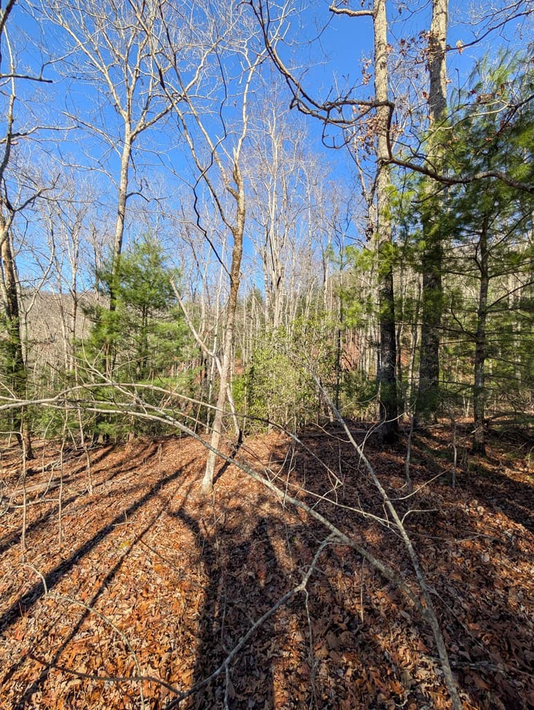 LOT 31 Tower Falls Lane, Hayesville NC 28904 - Photo