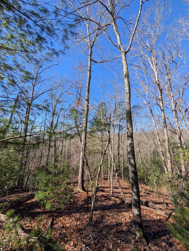 LOT 31 Tower Falls Lane, Hayesville NC 28904 - Photo