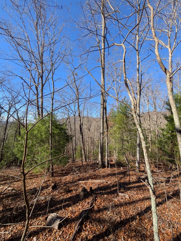 LOT 31 Tower Falls Lane, Hayesville NC 28904 - Photo