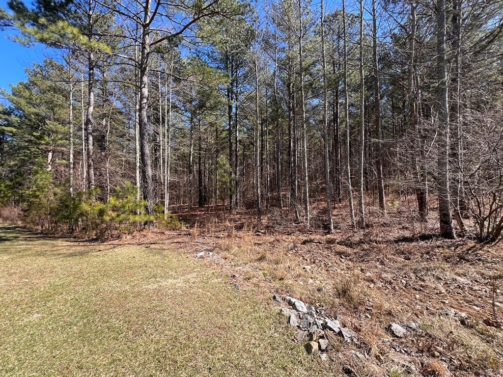 Lot 50 Deyton Drive, Blairsville GA 30512 - Photo