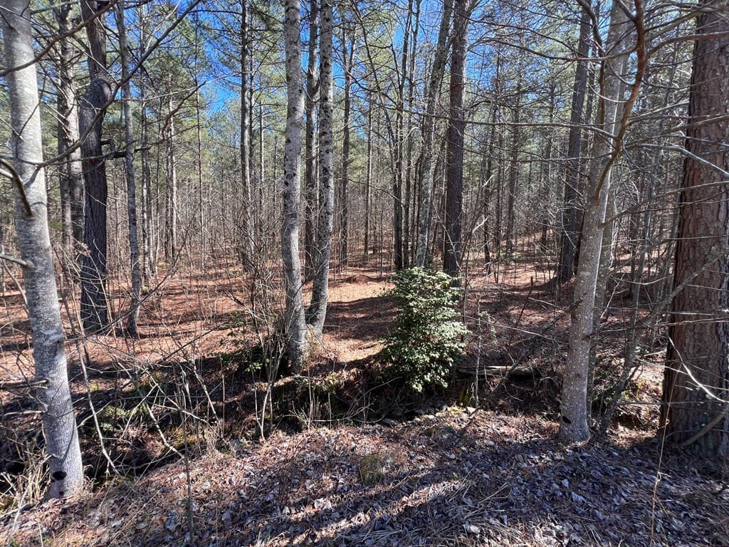 Lot 50 Deyton Drive, Blairsville GA 30512 - Photo