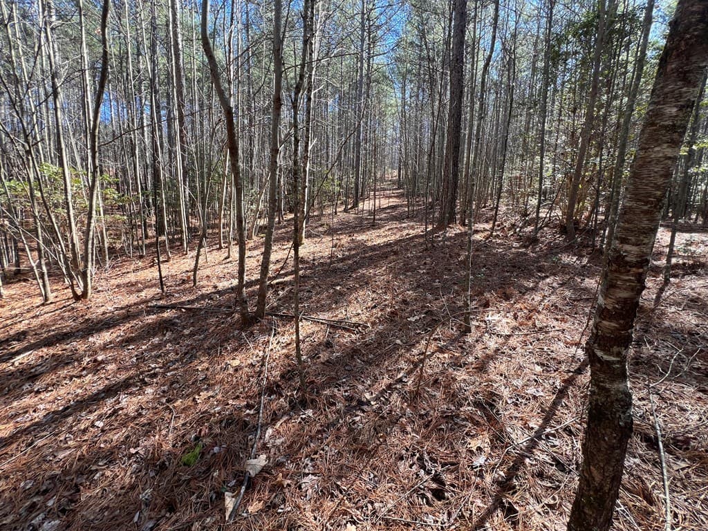 Lot 50 Deyton Drive, Blairsville GA 30512 - Photo