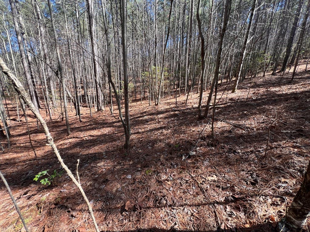 Lot 50 Deyton Drive, Blairsville GA 30512 - Photo