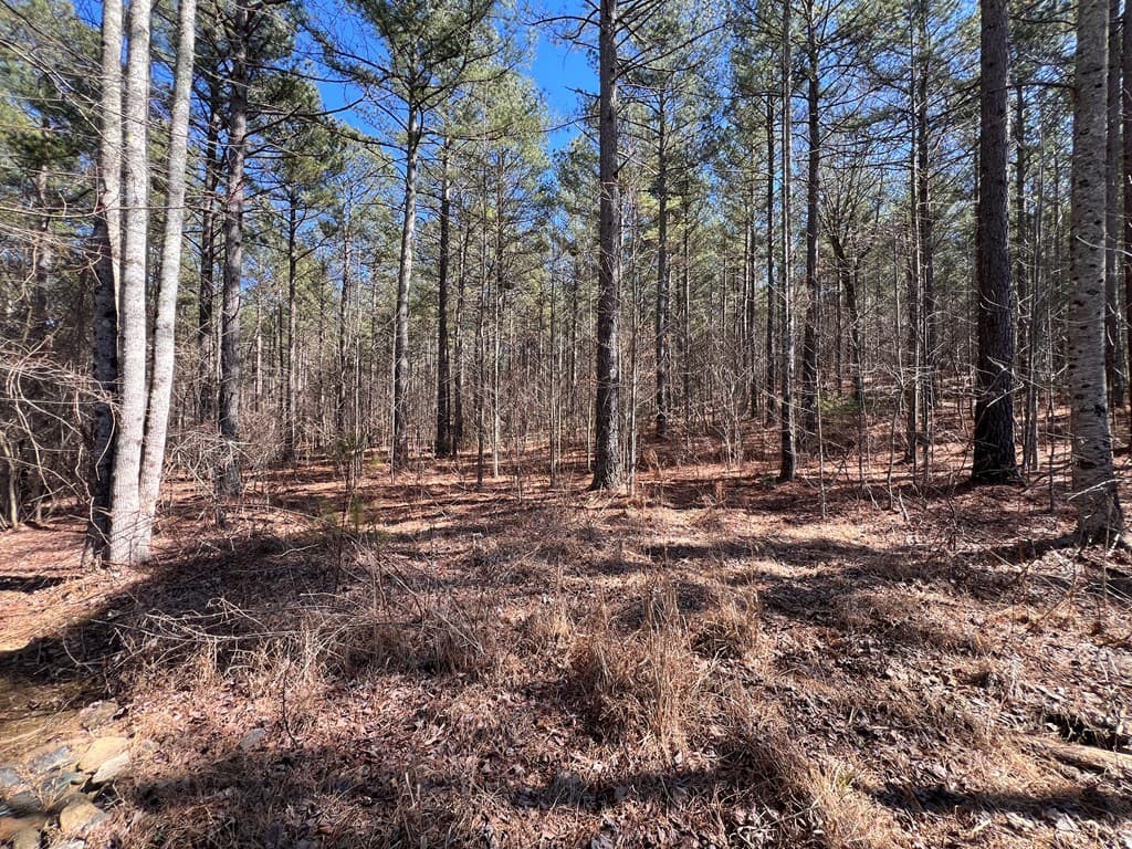 Lot 50 Deyton Drive, Blairsville GA 30512 - Photo