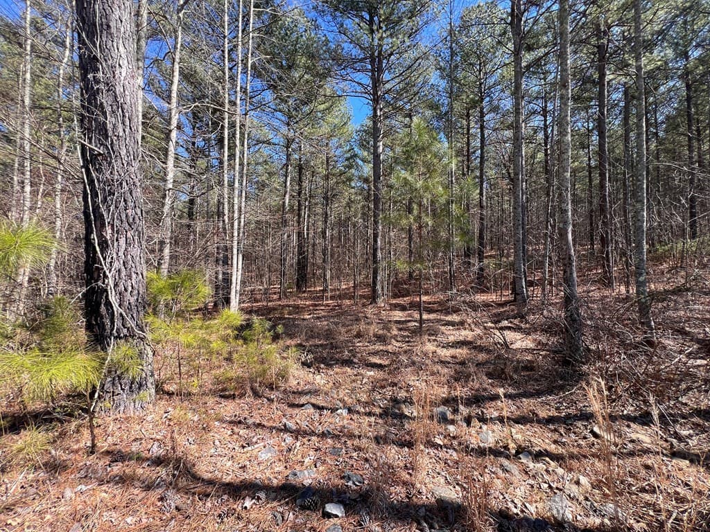 Lot 50 Deyton Drive, Blairsville GA 30512 - Photo