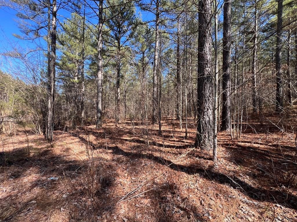 Lot 50 Deyton Drive, Blairsville GA 30512 - Primary photo