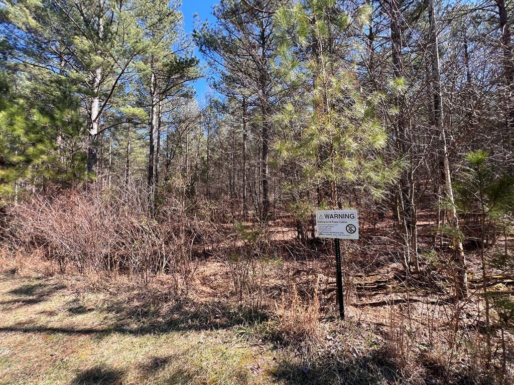 Lot 50 Deyton Drive, Blairsville GA 30512 - Photo