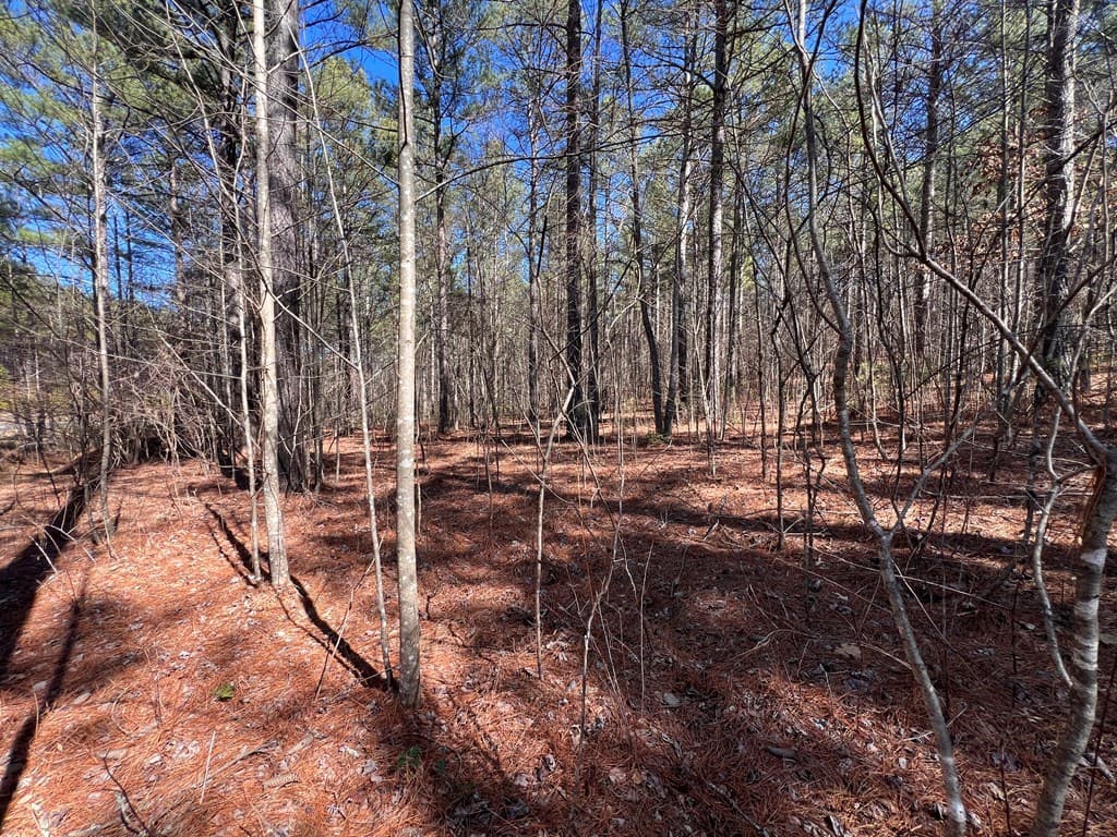 Lot 50 Deyton Drive, Blairsville GA 30512 - Photo