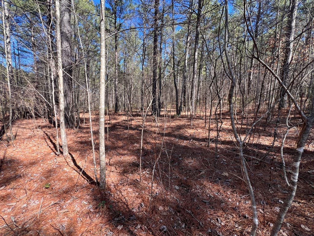 Lot 50 Deyton Drive, Blairsville GA 30512 - Photo