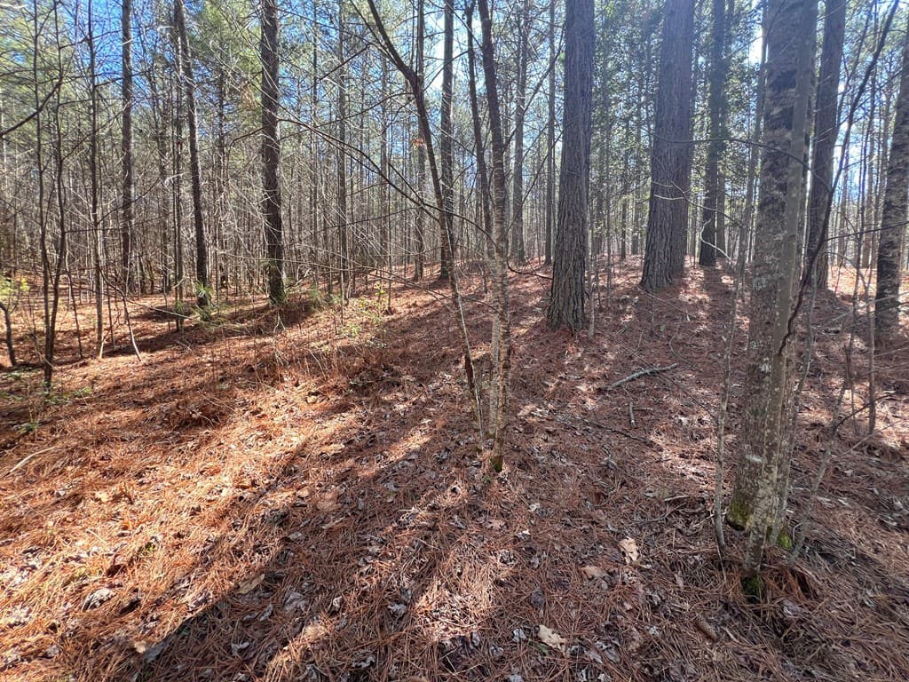 Lot 50 Deyton Drive, Blairsville GA 30512 - Photo