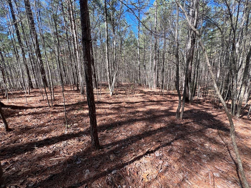 Lot 50 Deyton Drive, Blairsville GA 30512 - Photo