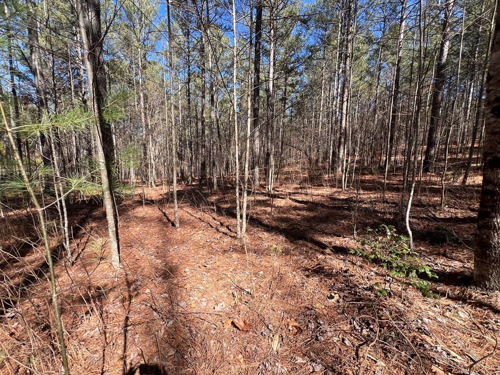 Lot 50 Deyton Drive, Blairsville GA 30512 - Photo
