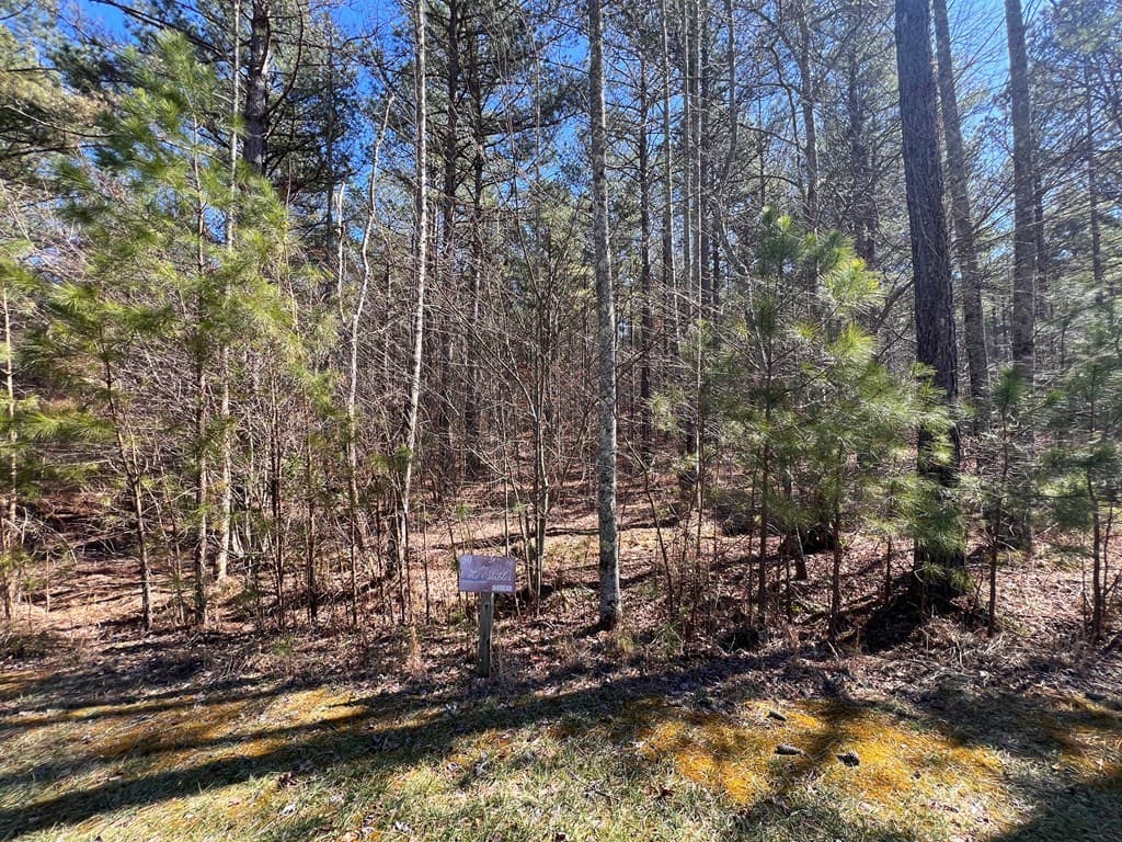 Lot 50 Deyton Drive, Blairsville GA 30512 - Photo