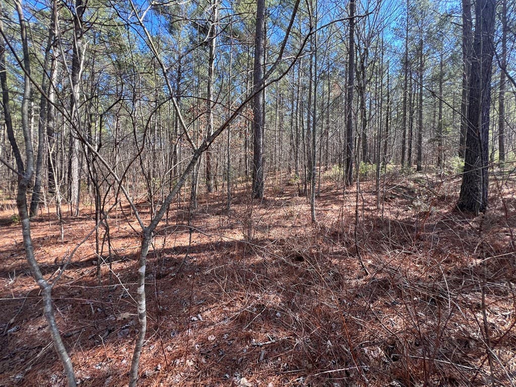 Lot 50 Deyton Drive, Blairsville GA 30512 - Photo