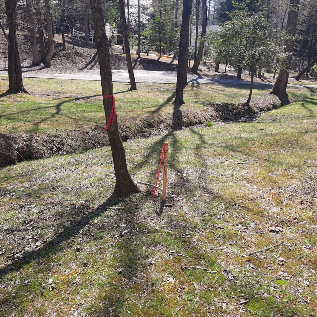 LOT 195 Shenendoa Dr., Ellijay GA 30540 - Photo