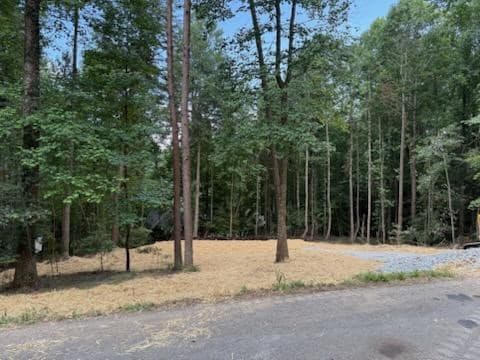 LOT 195 Shenendoa Dr., Ellijay GA 30540 - Photo