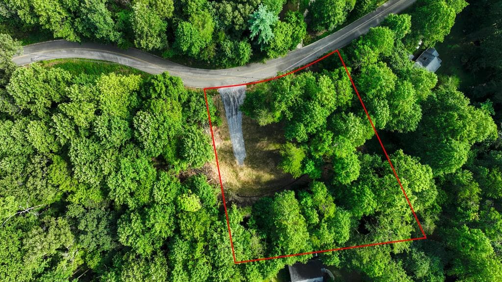 LOT 195 Shenendoa Dr., Ellijay GA 30540 - Photo