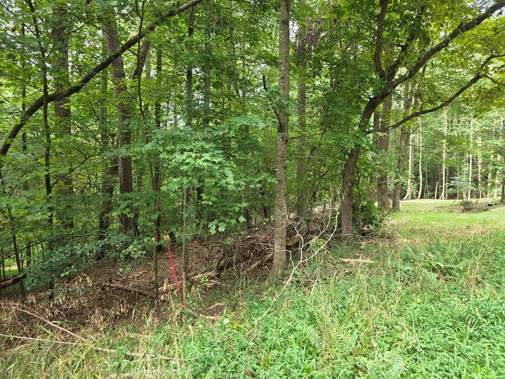 LOT 195 Shenendoa Dr., Ellijay GA 30540 - Photo