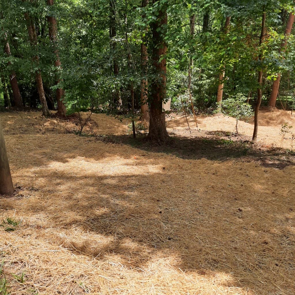 LOT 195 Shenendoa Dr., Ellijay GA 30540 - Photo