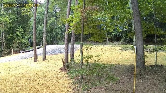 LOT 195 Shenendoa Dr., Ellijay GA 30540 - Primary photo