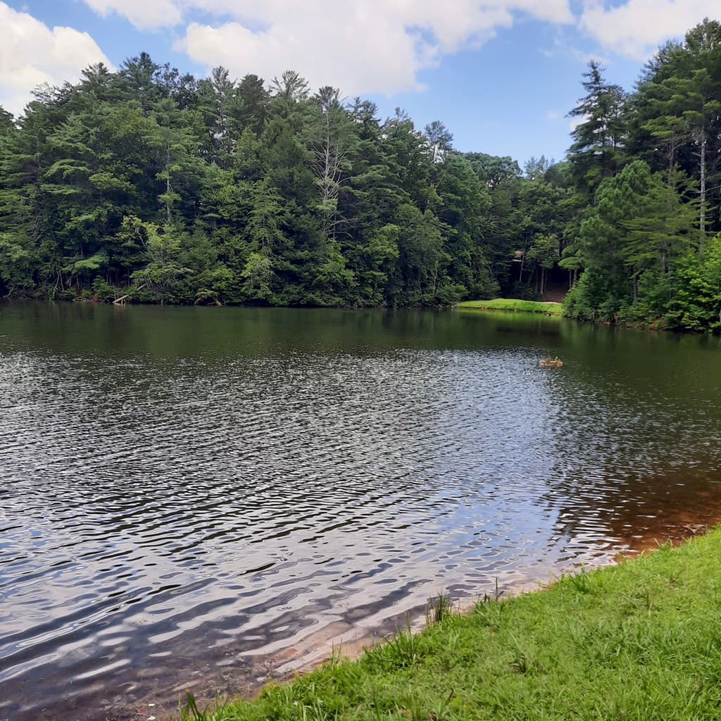 LOT 195 Shenendoa Dr., Ellijay GA 30540 - Photo