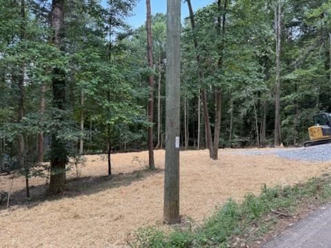 LOT 195 Shenendoa Dr., Ellijay GA 30540 - Photo
