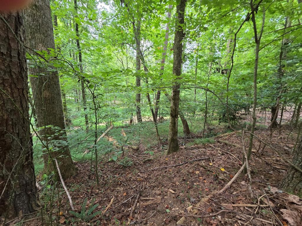 LOT 195 Shenendoa Dr., Ellijay GA 30540 - Photo