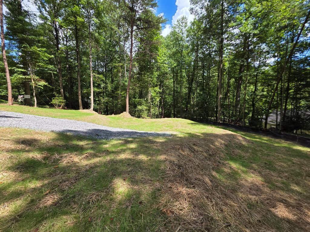 LOT 195 Shenendoa Dr., Ellijay GA 30540 - Photo