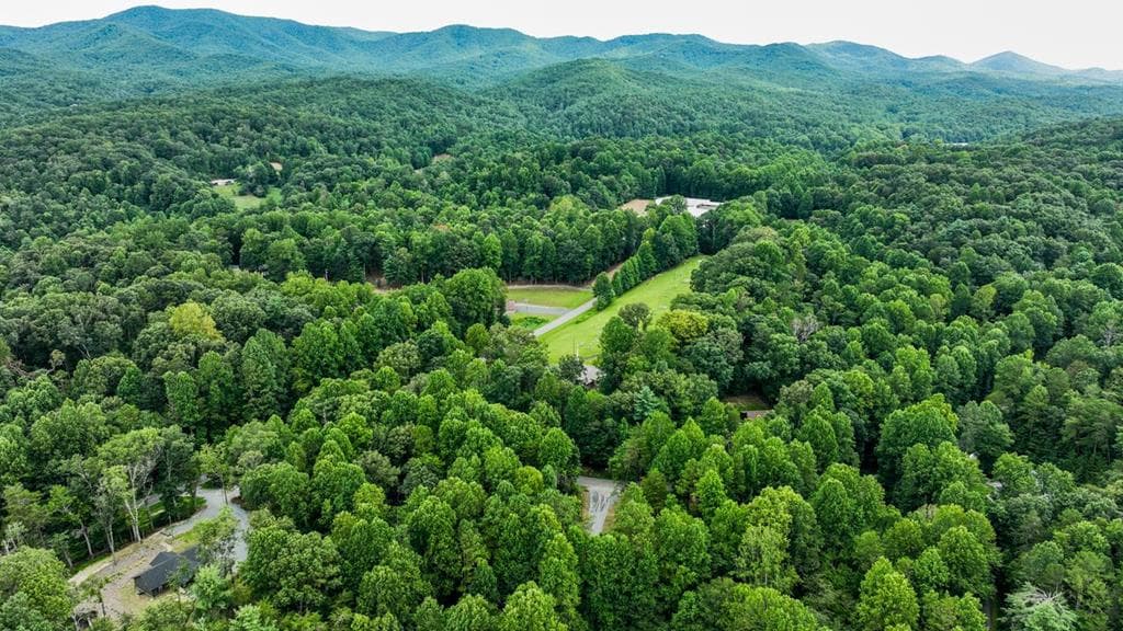 LOT 195 Shenendoa Dr., Ellijay GA 30540 - Photo