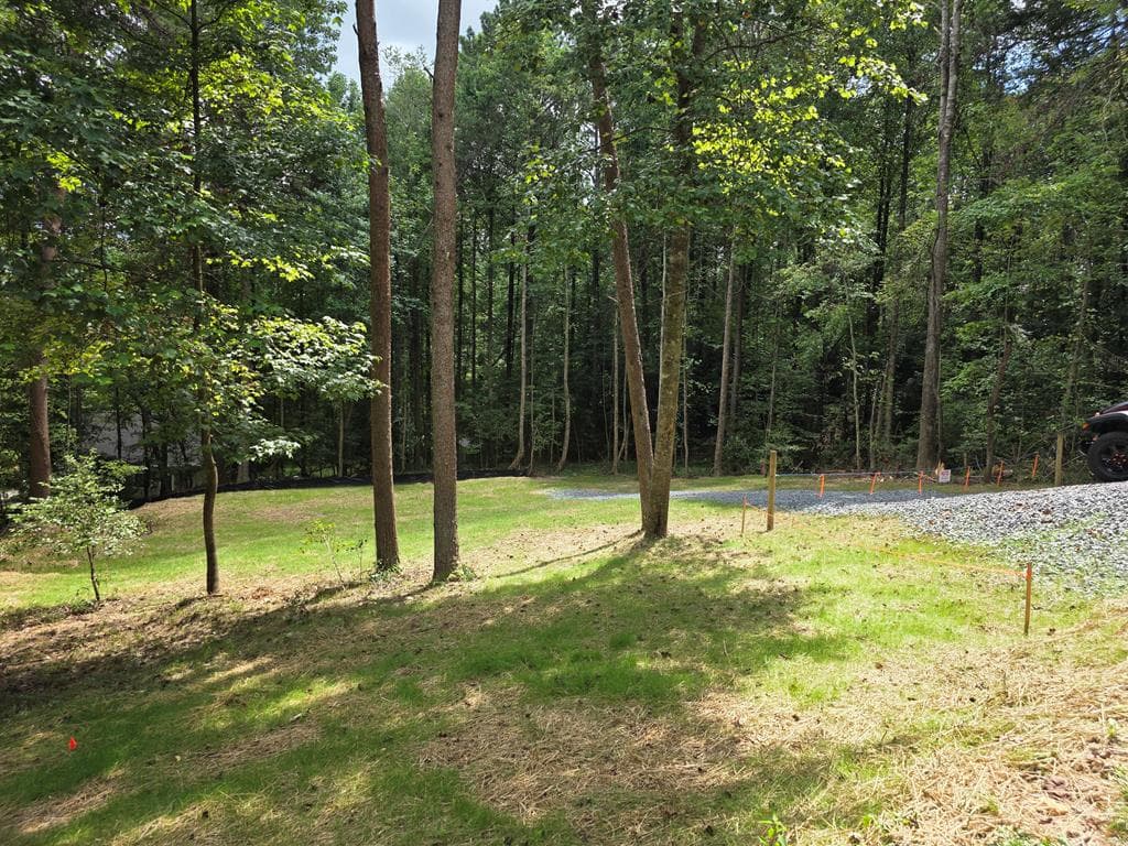 LOT 195 Shenendoa Dr., Ellijay GA 30540 - Photo