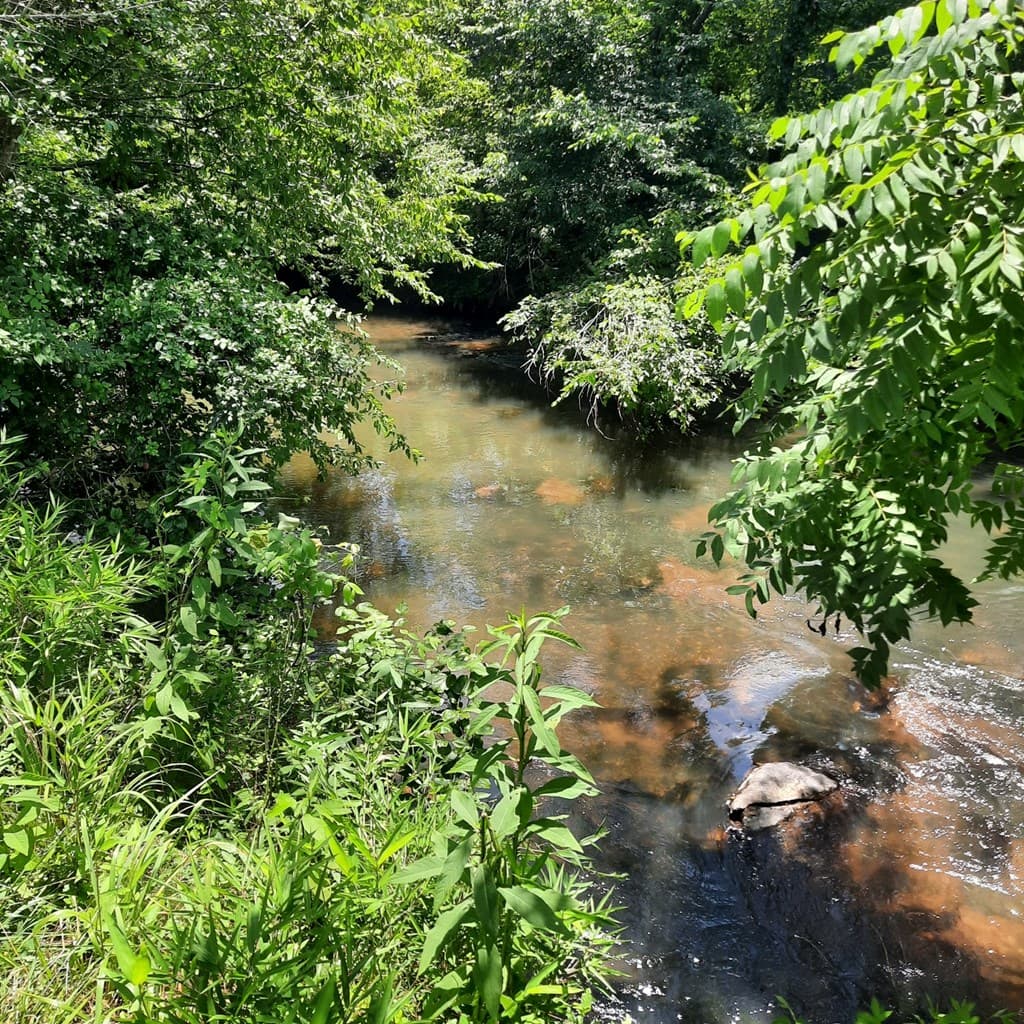 LOT 195 Shenendoa Dr., Ellijay GA 30540 - Photo