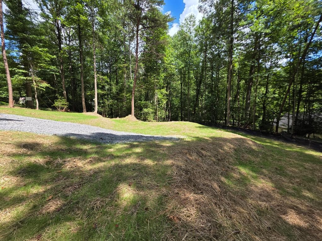 LOT 195 Shenendoa Dr., Ellijay GA 30540 - Photo